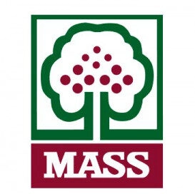 MASS AS